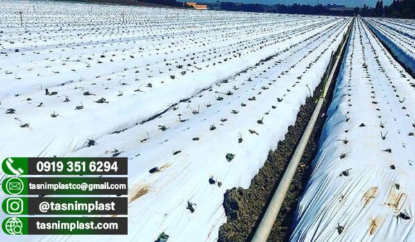 فروش پلاستیک کشاورزی به همراه قیمت عمده🌾🌾