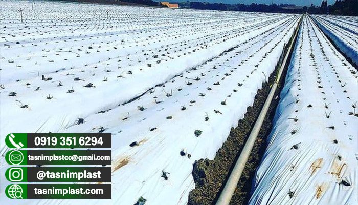 فروش پلاستیک کشاورزی به همراه قیمت عمده🌾🌾