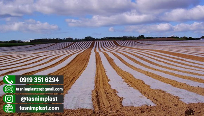 فروش پلاستیک کشاورزی به همراه قیمت عمده🌾🌾