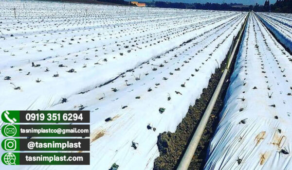 فروش پلاستیک کشاورزی به همراه قیمت عمده🌾🌾