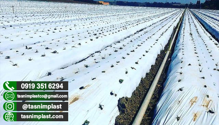 فروش پلاستیک کشاورزی به همراه قیمت عمده🌾🌾