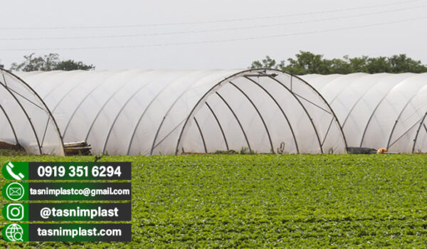 فروش پلاستیک گلخانه ای در مازندران + یووی دار