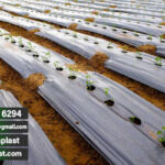 قیمت پلاستیک عرض 6 متر + نایلون ساختمان