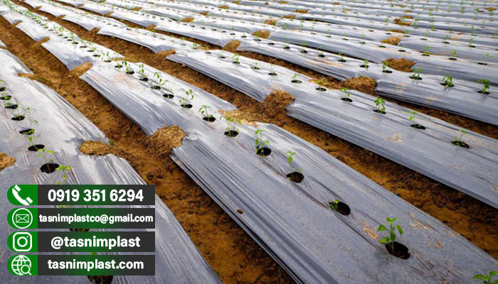 قیمت پلاستیک عرض 6 متر + نایلون ساختمان