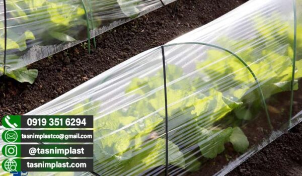 پلاستیک گلخانه 5 درصد یووی عرض 6 متر