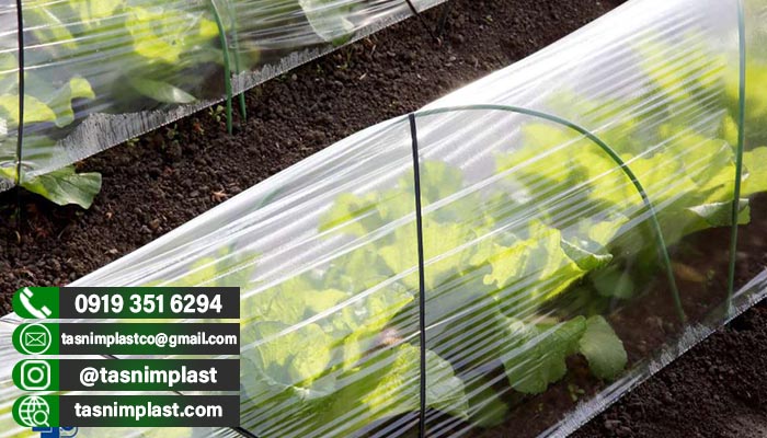 پلاستیک گلخانه 5 درصد یووی عرض 6 متر