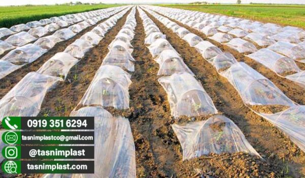 فروش پلاستیک گلخانه در بوشهر + عمده