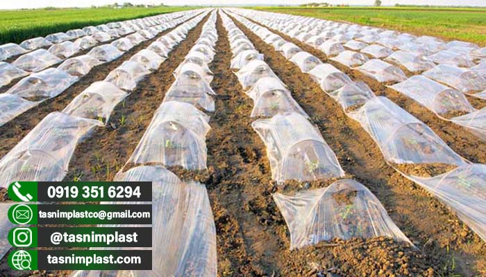 فروش پلاستیک گلخانه در بوشهر + عمده