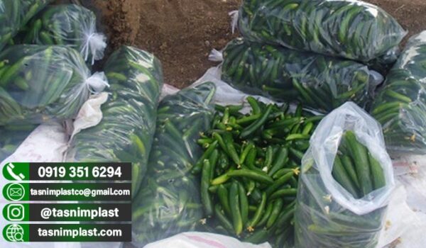 قیمت پلاستیک خیاری در دزفول + عمده