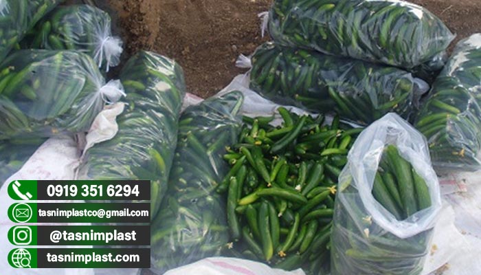 قیمت پلاستیک خیاری در دزفول + عمده