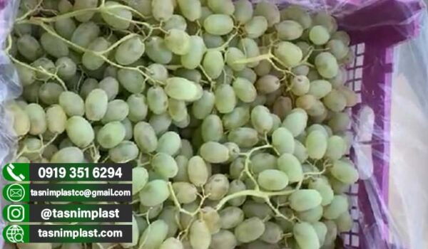 کیسه آنتی باکتریال انگور اسپک صادراتی + عمده