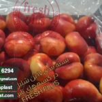 قیمت پلاستیک نانو بسته بندی شلیل